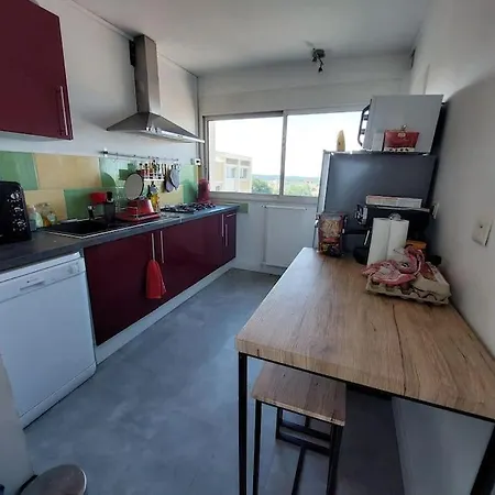 Le Pradeau - T3 Panorama Pyrenees * Tarbes